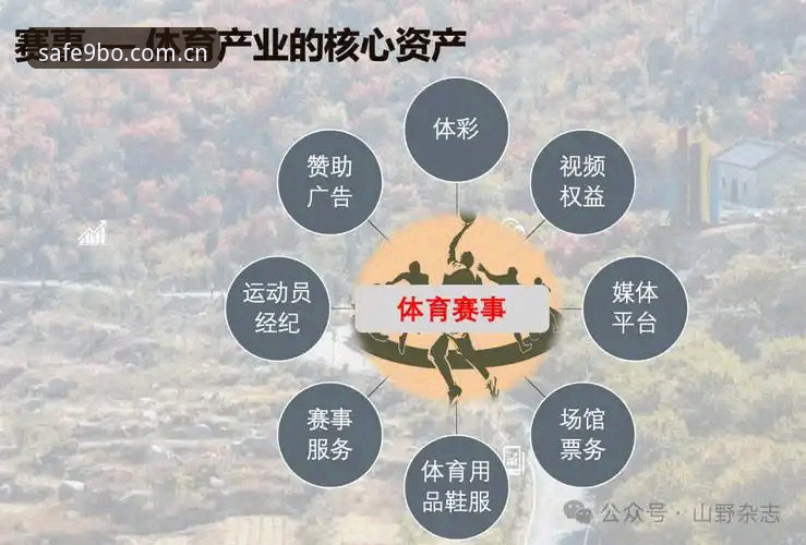 9博体育平台新手指南：全面解析博娱乐注册入口的实用技巧与安全通道