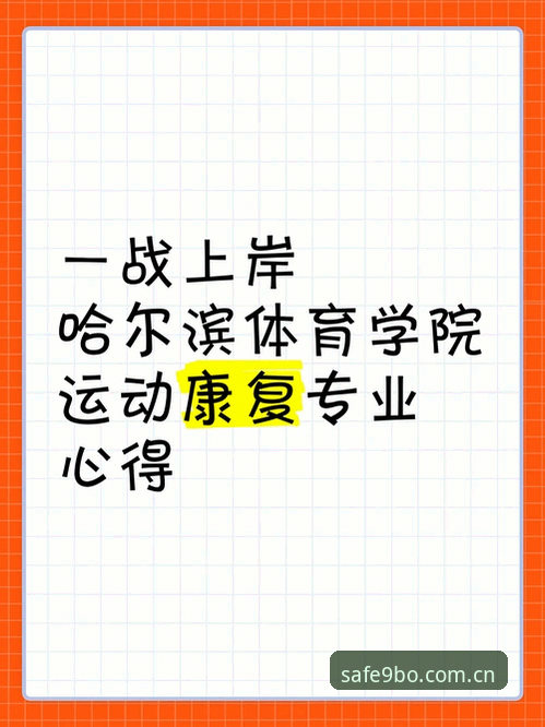 博娱乐正版下载安全吗 资深用户分享9博体育平台正版下载安全评估,从安装到使用全流程心得